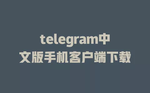 telegram中文版手机应用下载途径