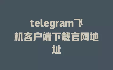 telegram飞机客户端下载官网地址 一